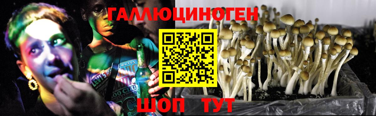 Псилоцибиновые грибы ЛСД  Вход с VPN  Азнакаево 